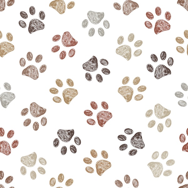 Neutral Paw Prints