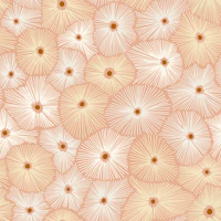 Abstract boho Sea anemones light blush tapete