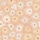 Abstract boho Sea anemones light blush