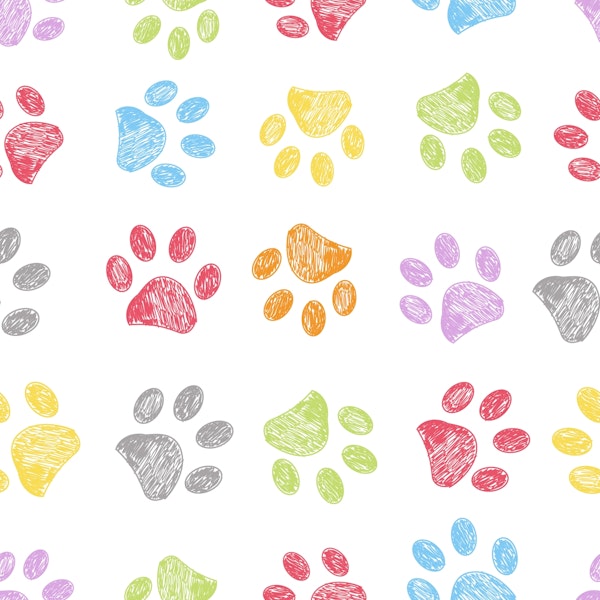 Rainbow Paw Prints