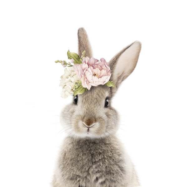 Peekaboo Bunny Floral