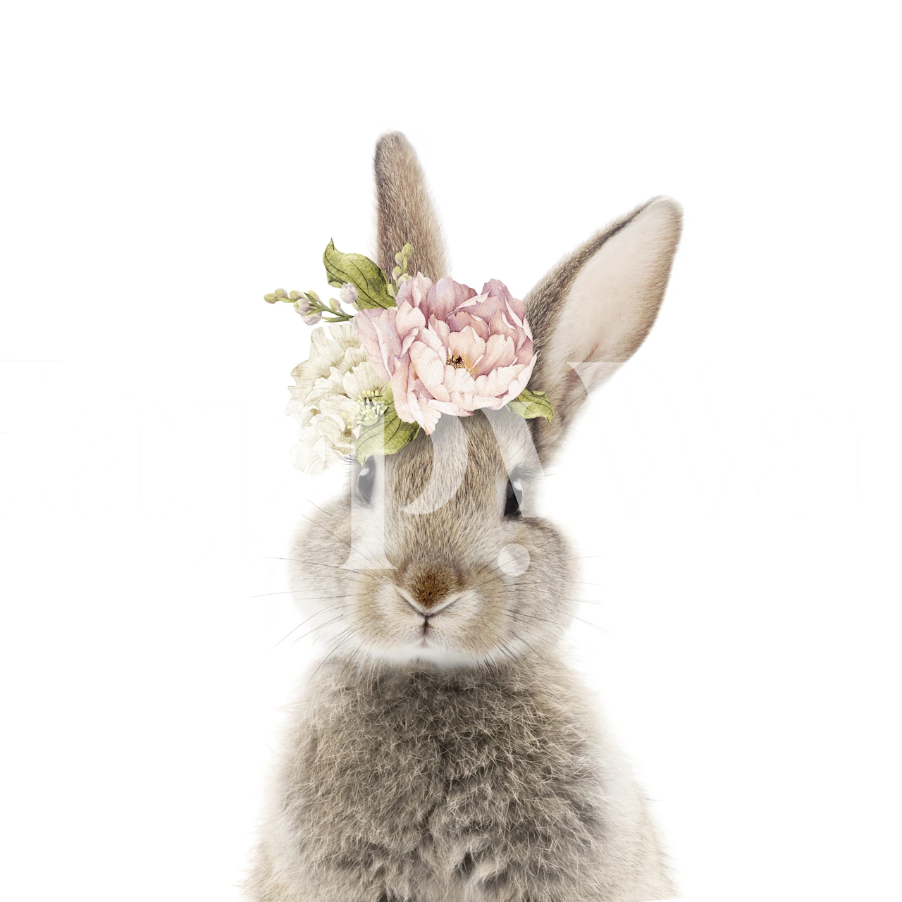Cute bunny with a floral crown on a white background wallpaper