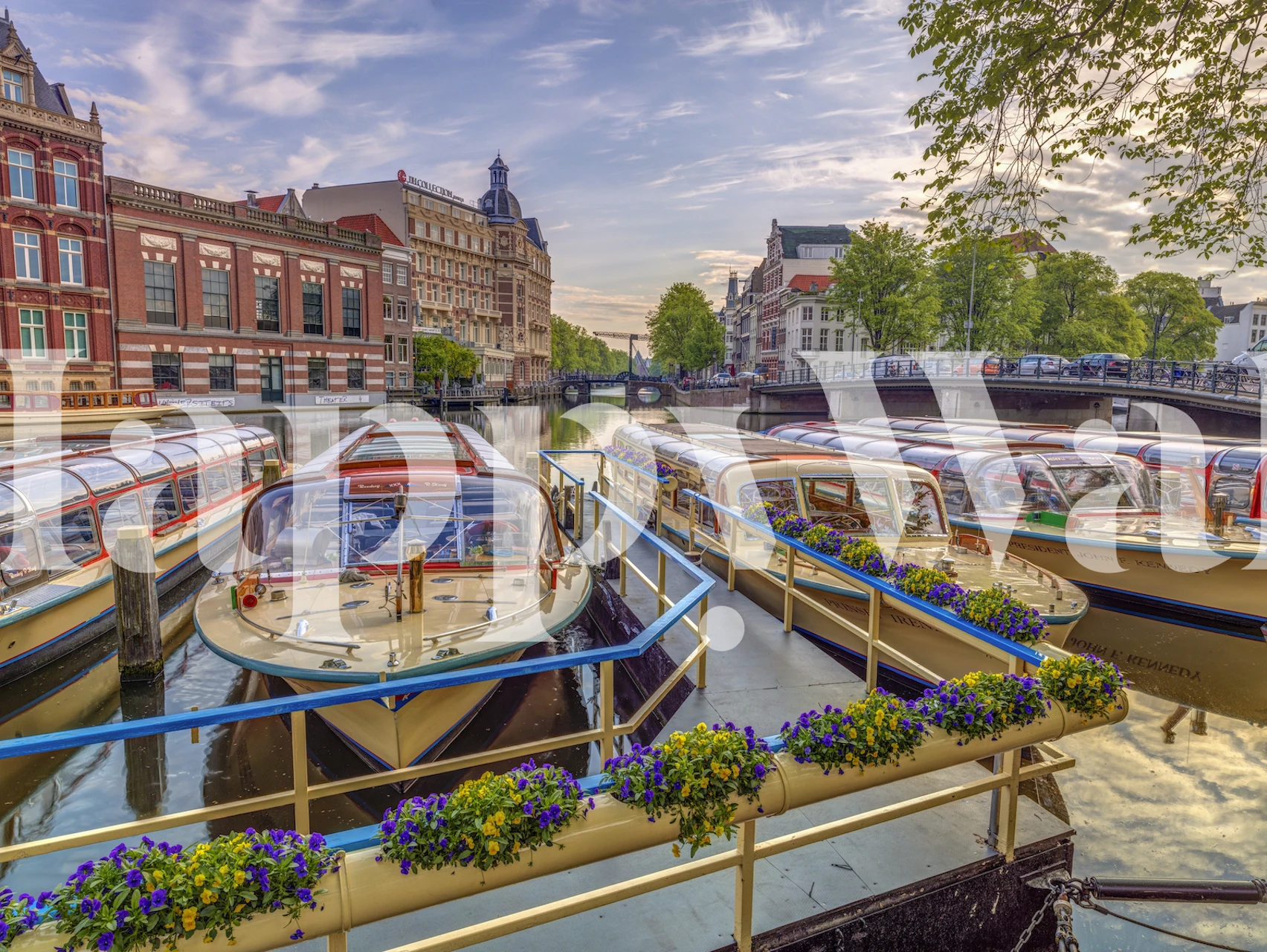 lugn marina tapet med båtar i vila