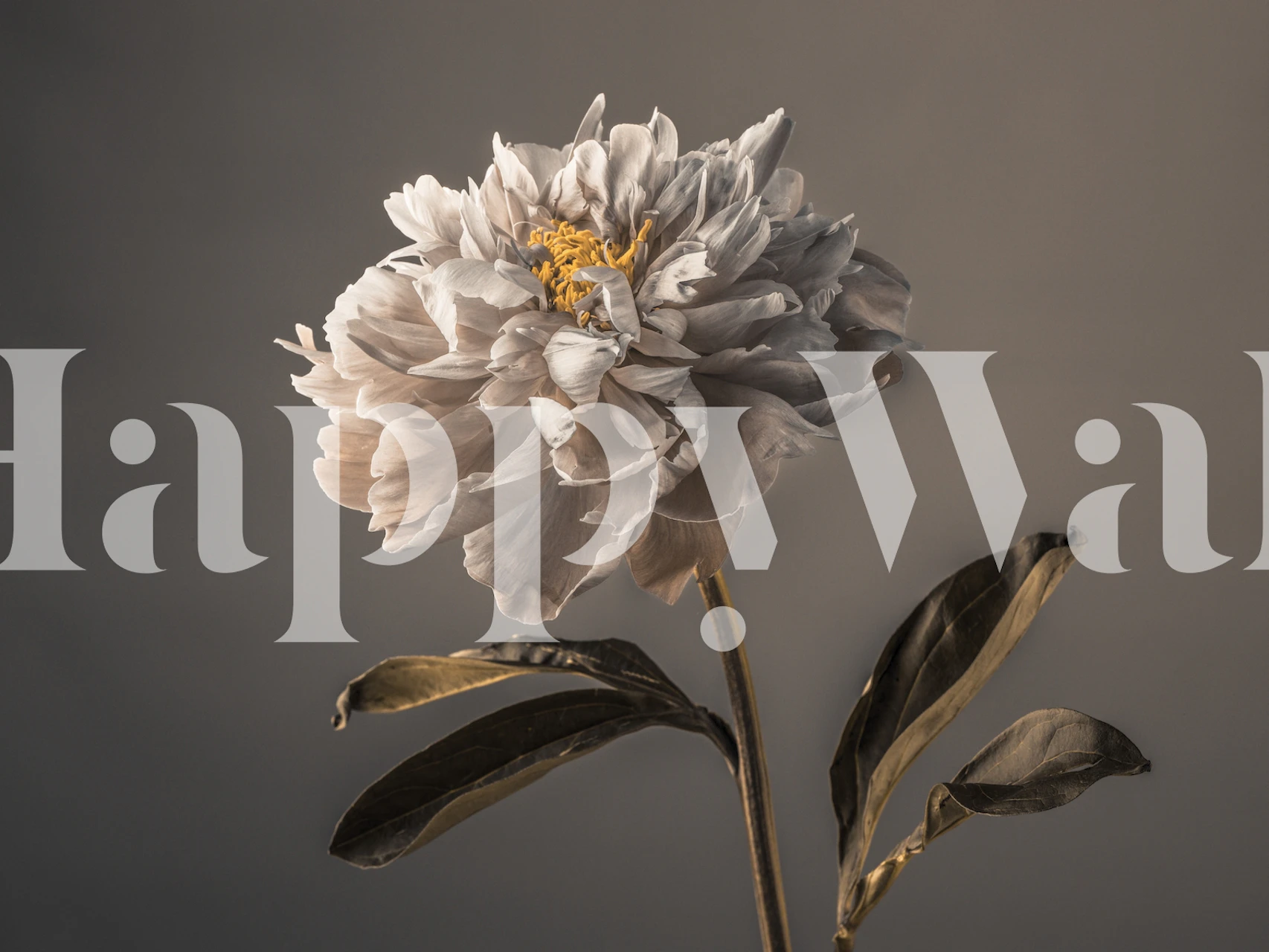 Floral wallpaper design featuring Graceful Blooms