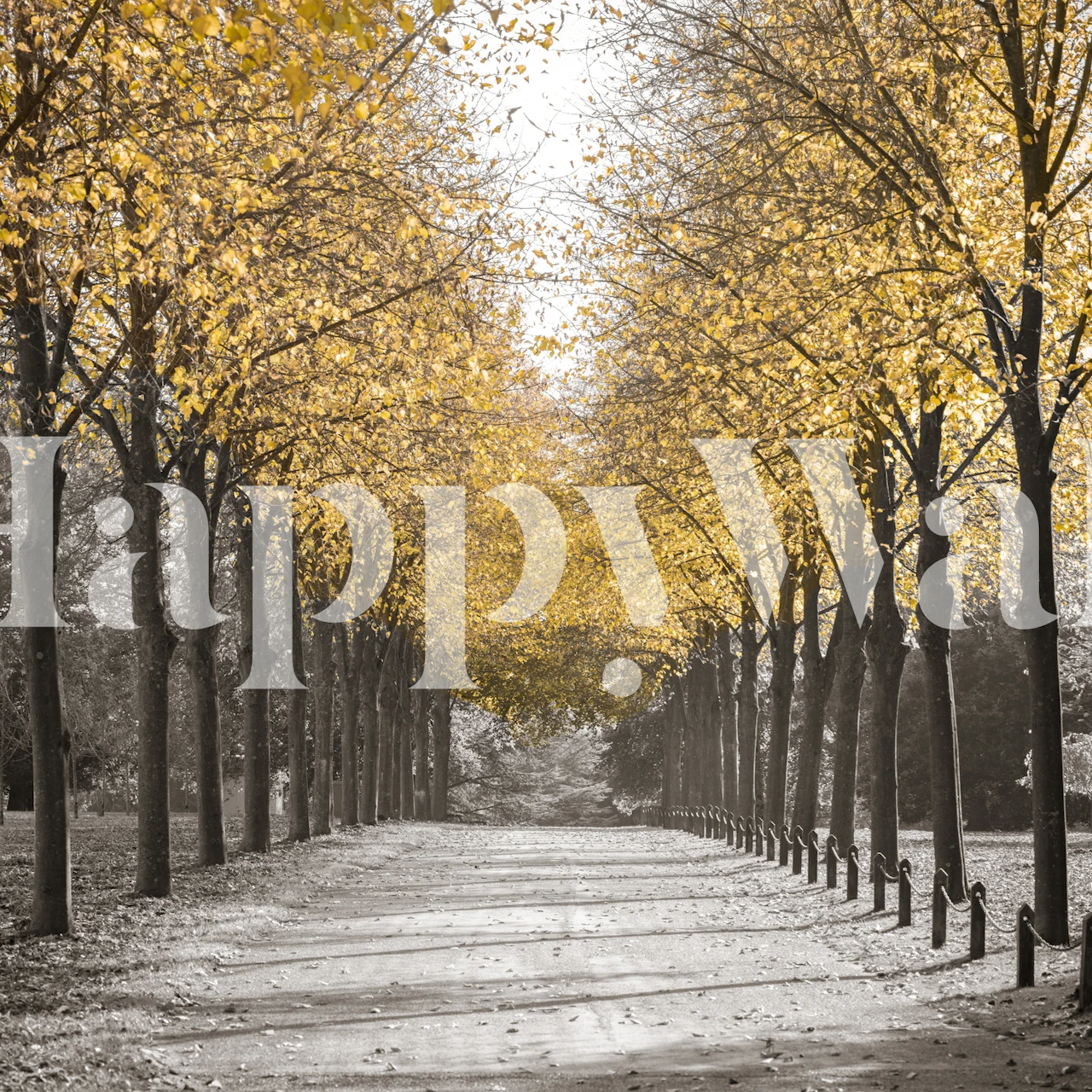 Elegant wall mural of a tree-lined pathway with golden leaves, in monochrome and gold tones.