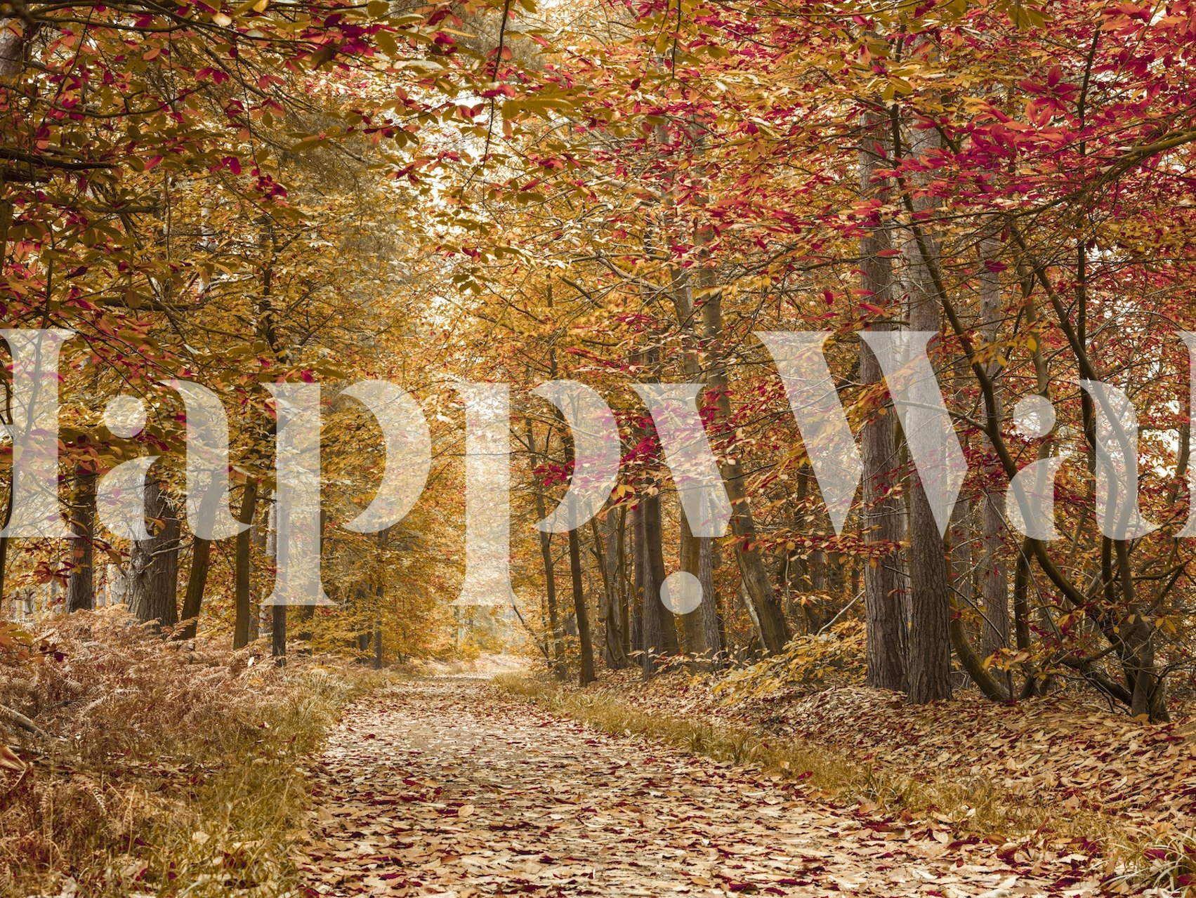 Path of Rustling Leaves wallpaper in a room