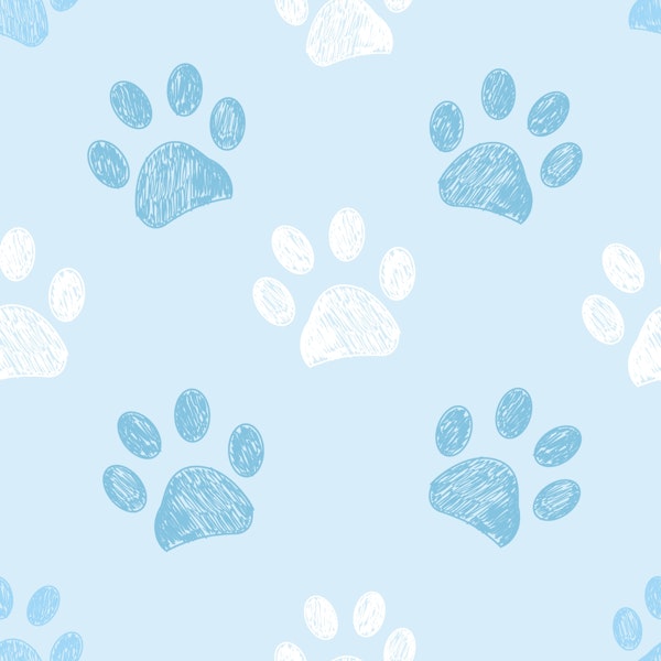 Colorful doodle paw prints symbol