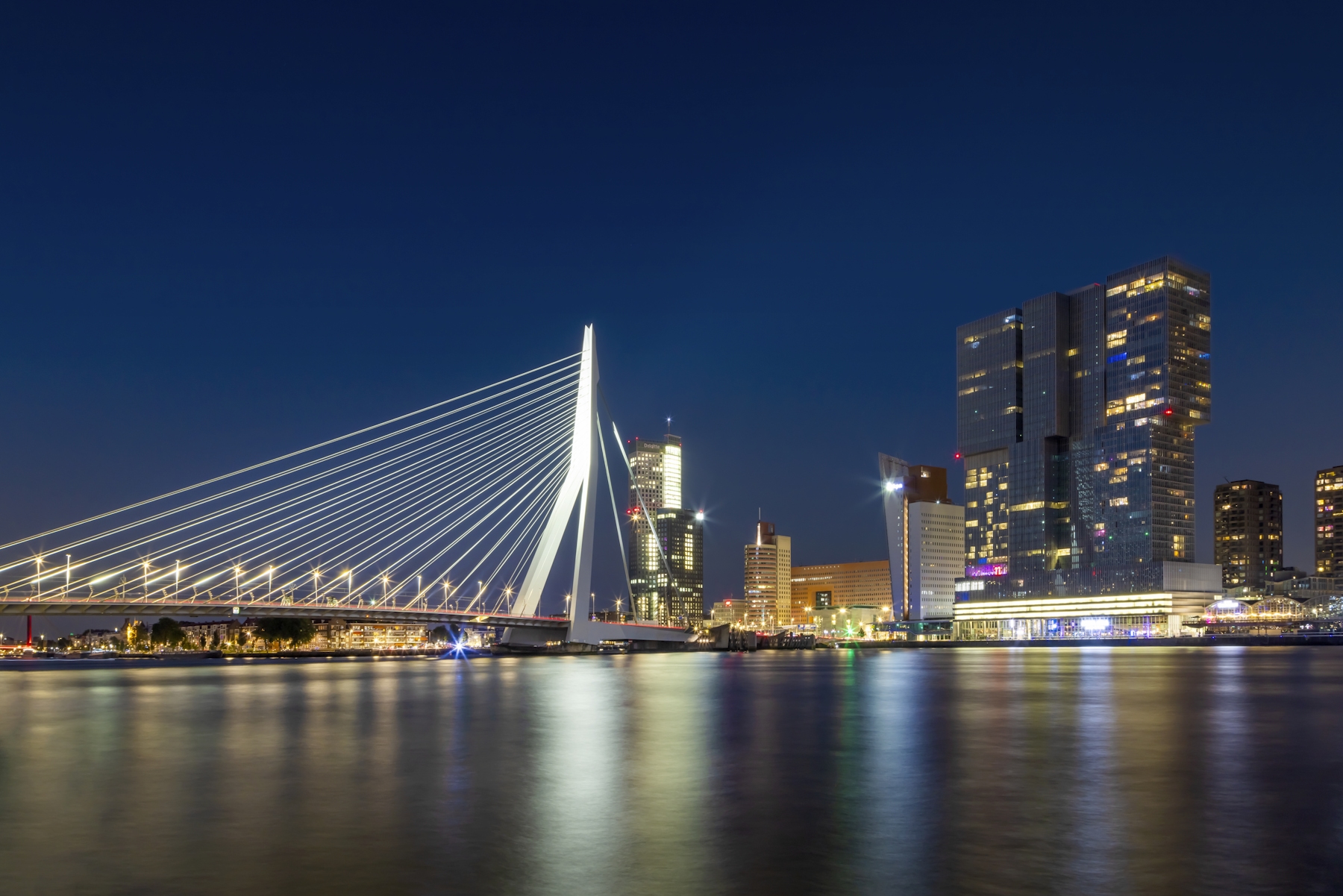 erasmus bridge