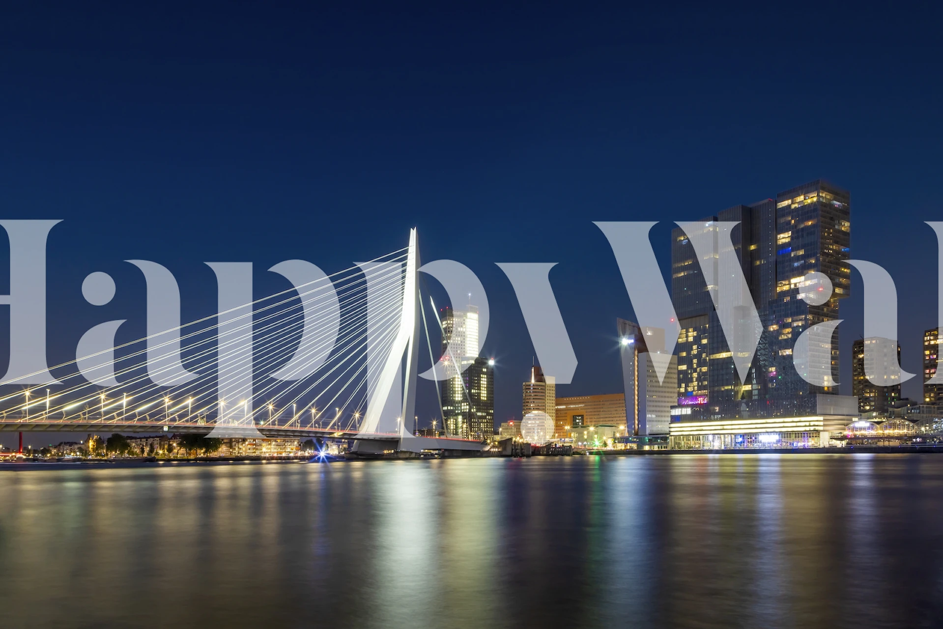 Erasmus Bridge i Rotterdam om natten tapet
