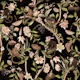 Monkeys Chinoiserie Jungle 10