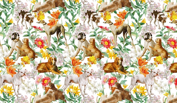 Doggies and Florals