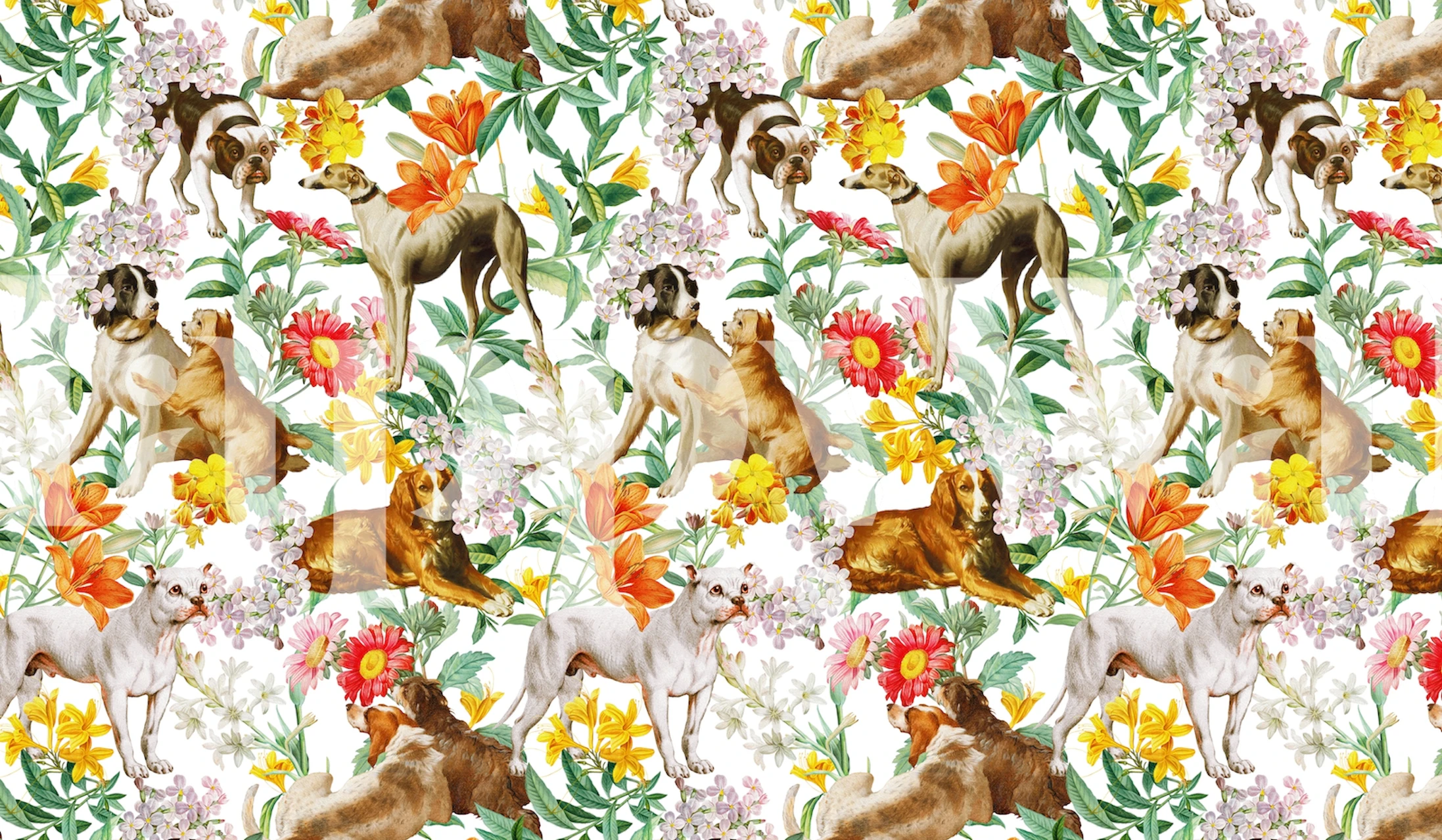 Doggies and florals wallpaper in a room