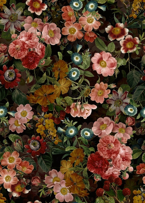Baroque Moody Floral Midnight Rose Garden