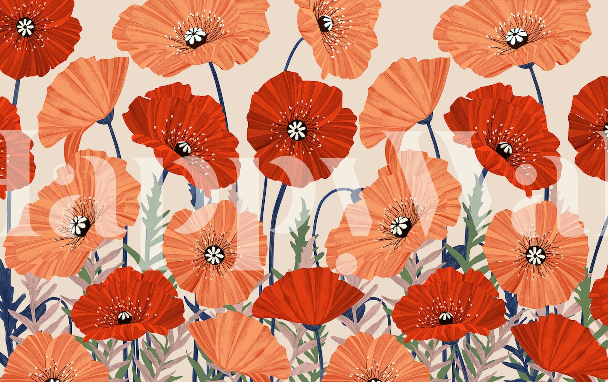 Vibrant red poppies wall mural for interior decor