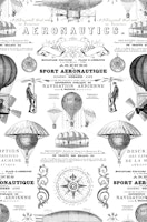 Aeronautique Vintage Expedition wallpaper