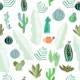Cactus and Succulents