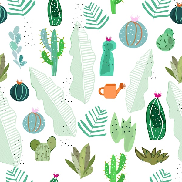 Cactus and Succulents