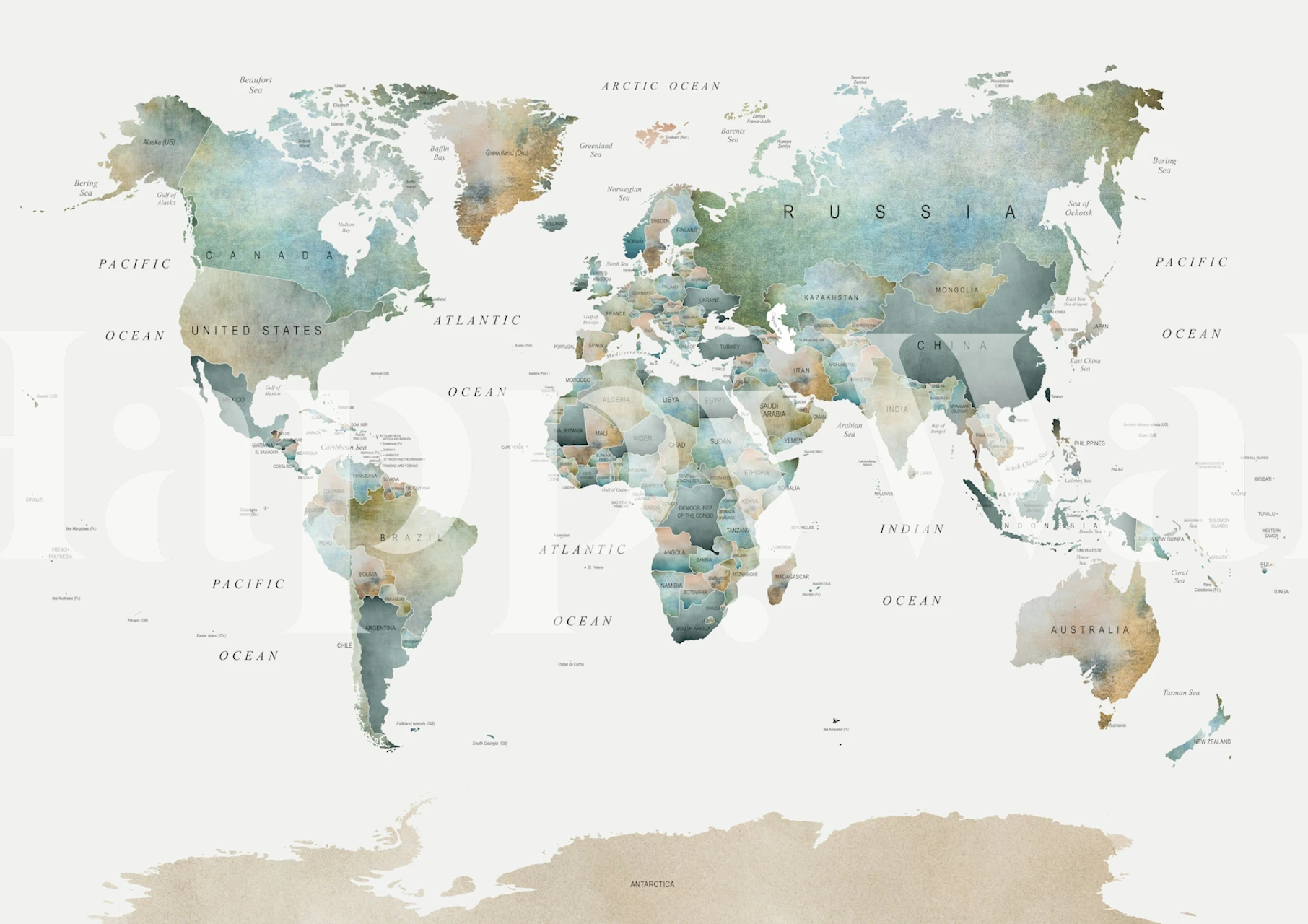 Muted tones world map wallpaper in a room