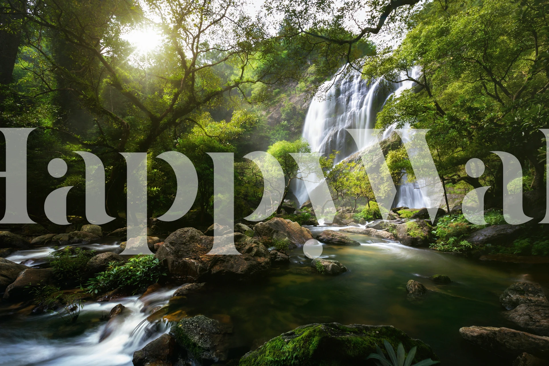 Lush green forest and flowing mountain stream wallpaper