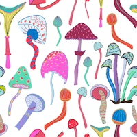 Magic mushrooms tapete