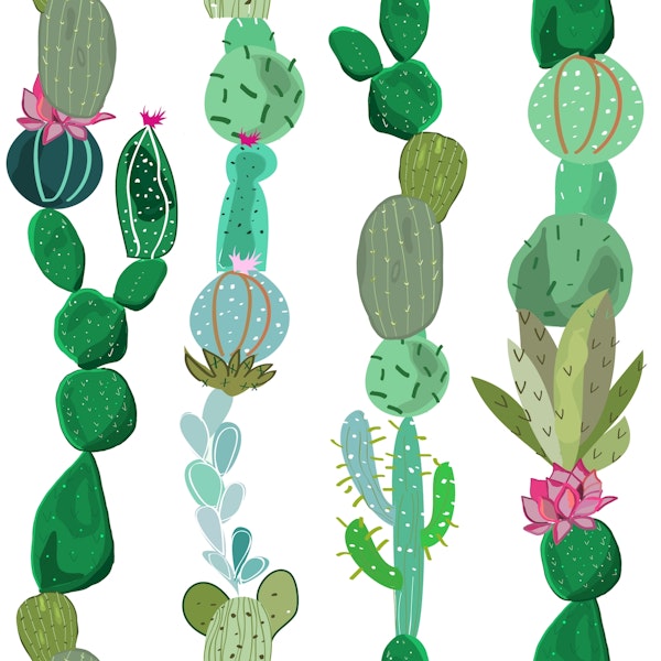 Cactus and succulents illustration