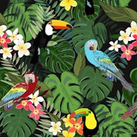 Tropical forest black tapety
