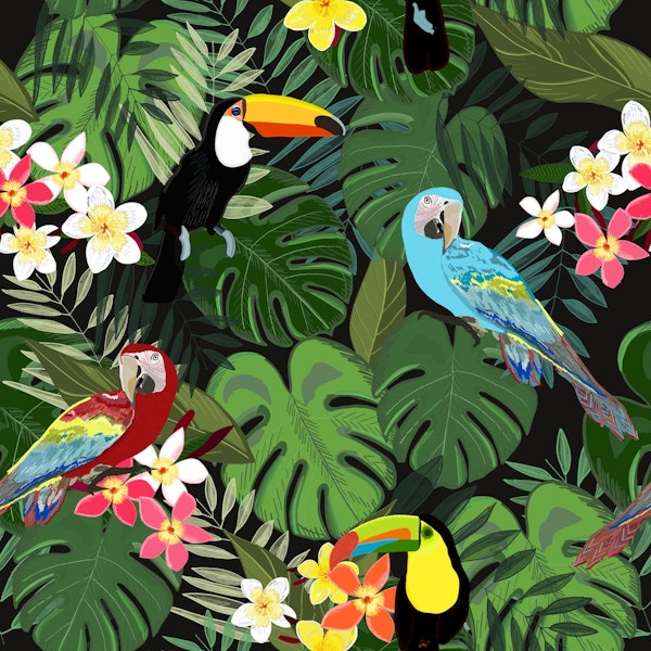 Tropical forest black