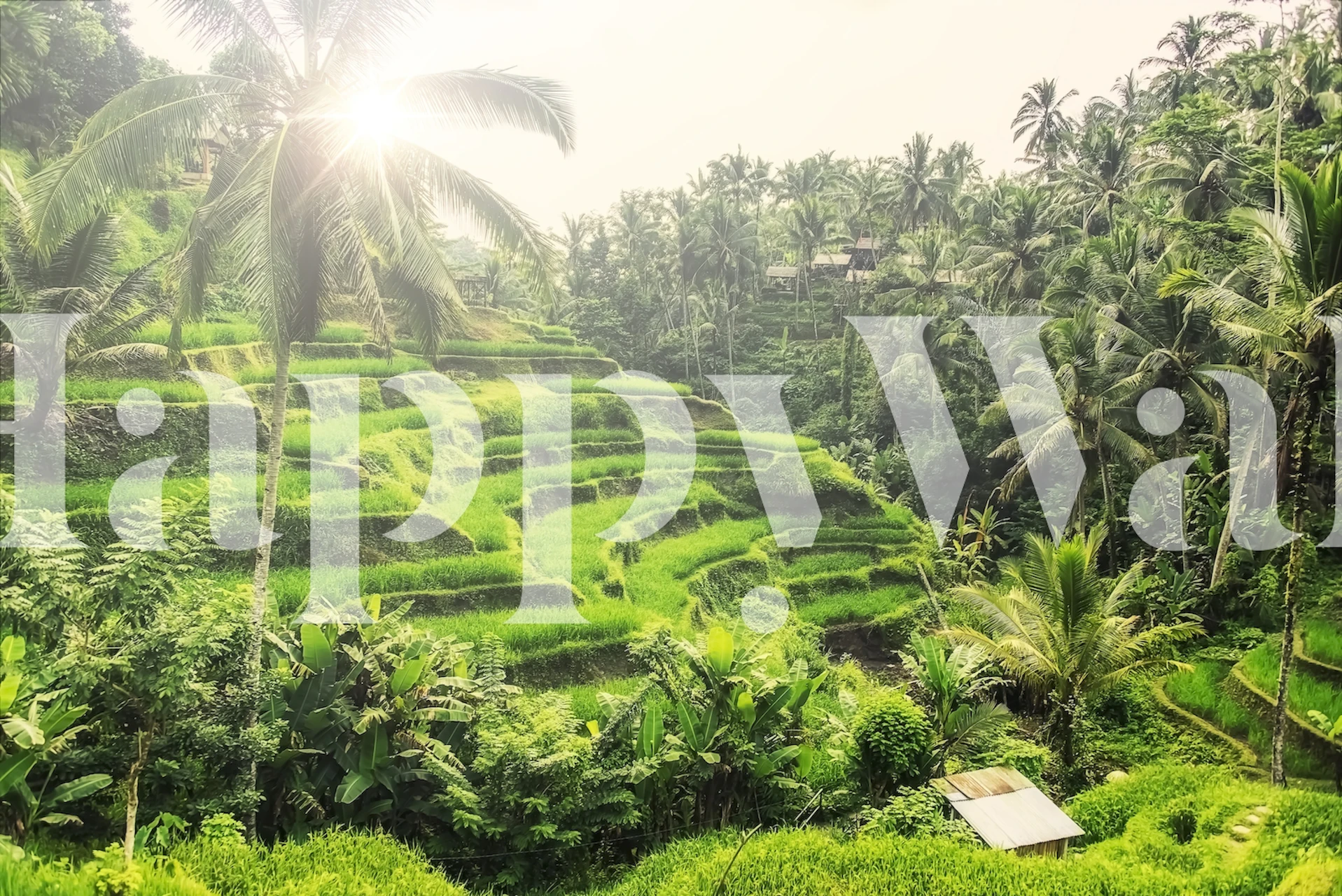 Lush green rice terraces with palm trees tropical wallpaper