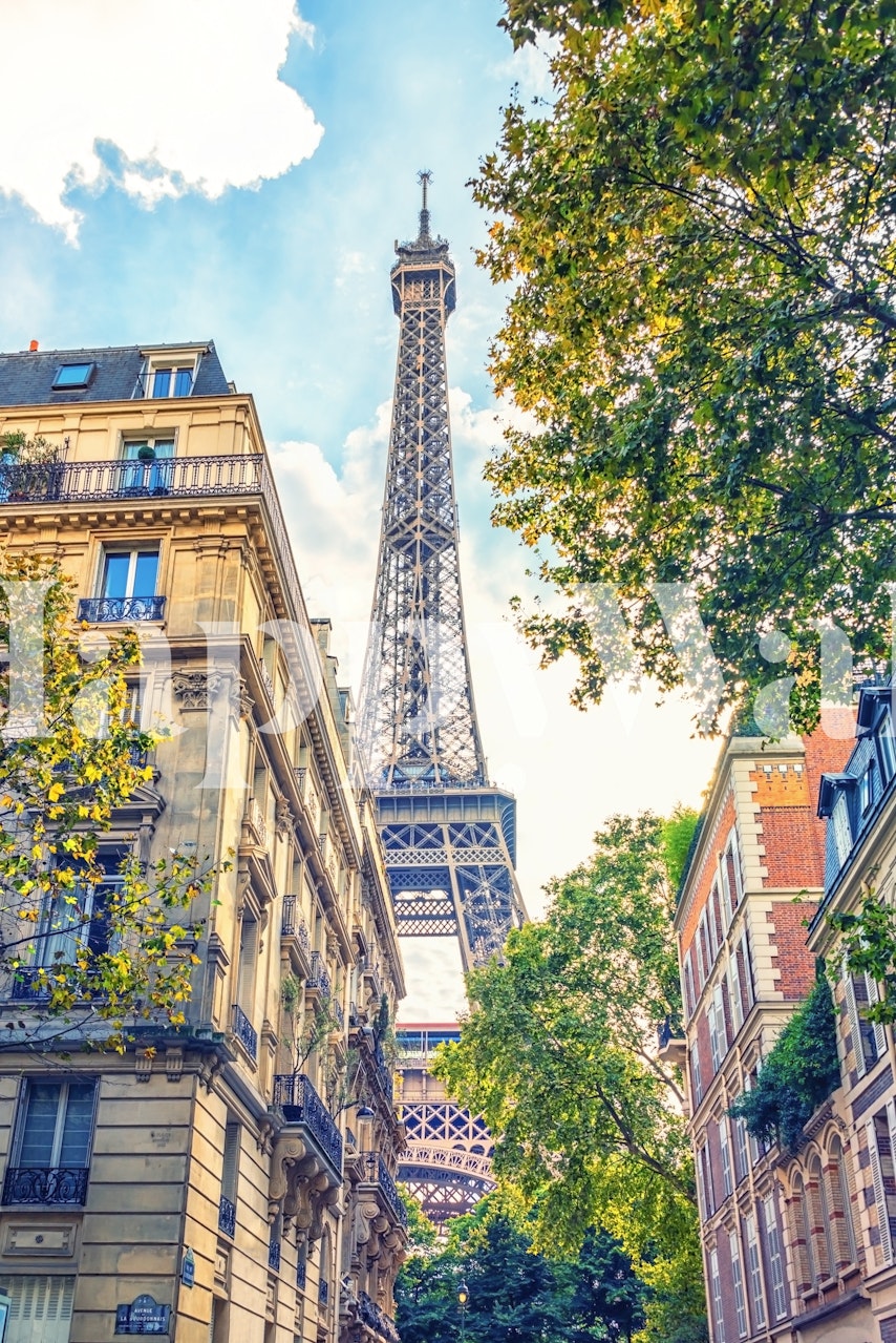 Eiffel Tower above Paris street trees buildings wallpaper