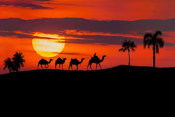 Sahara Sunset