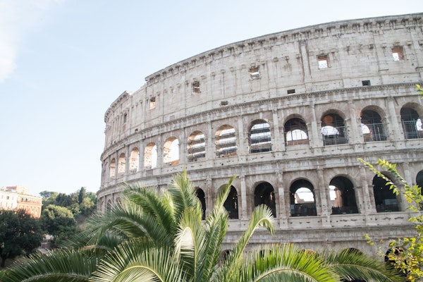 Colosseum in Rome with Palm 3