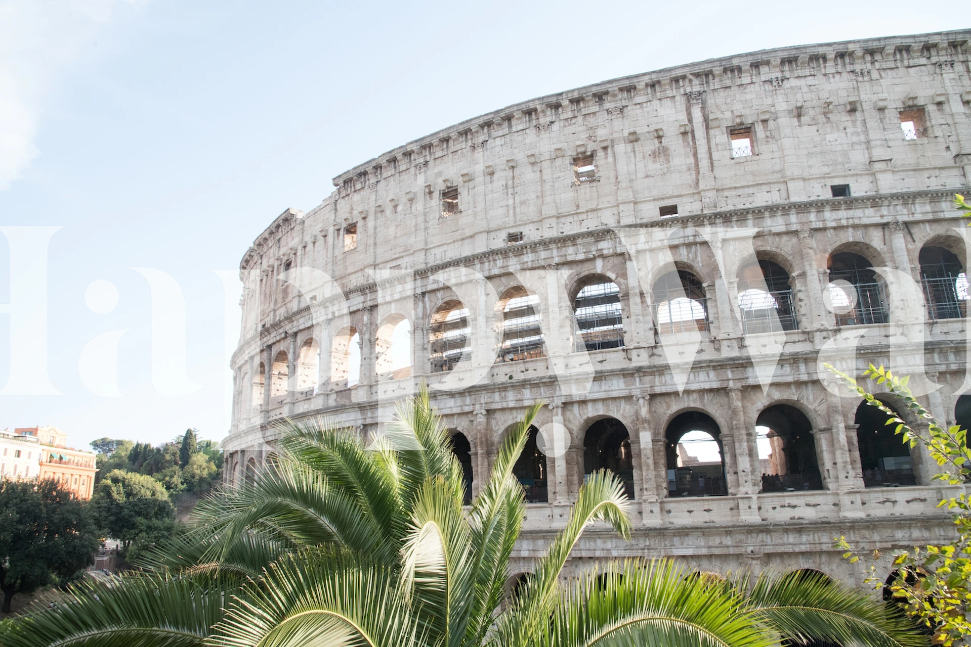 Colosseum in Rome met palm design