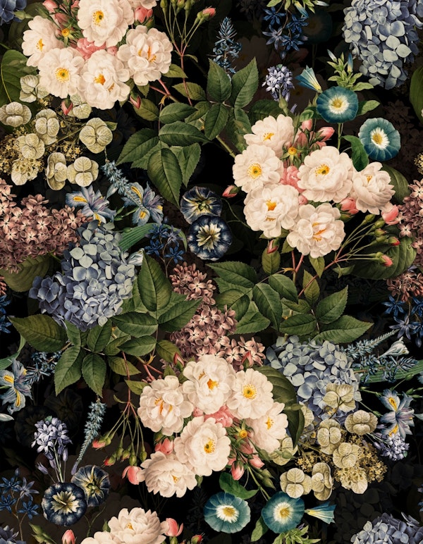Baroque Midnight Vintage Rose Garden