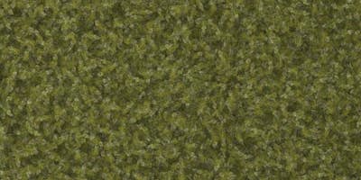 Τοιχογραφία