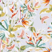 Orange in the palms jungle 3F tapete