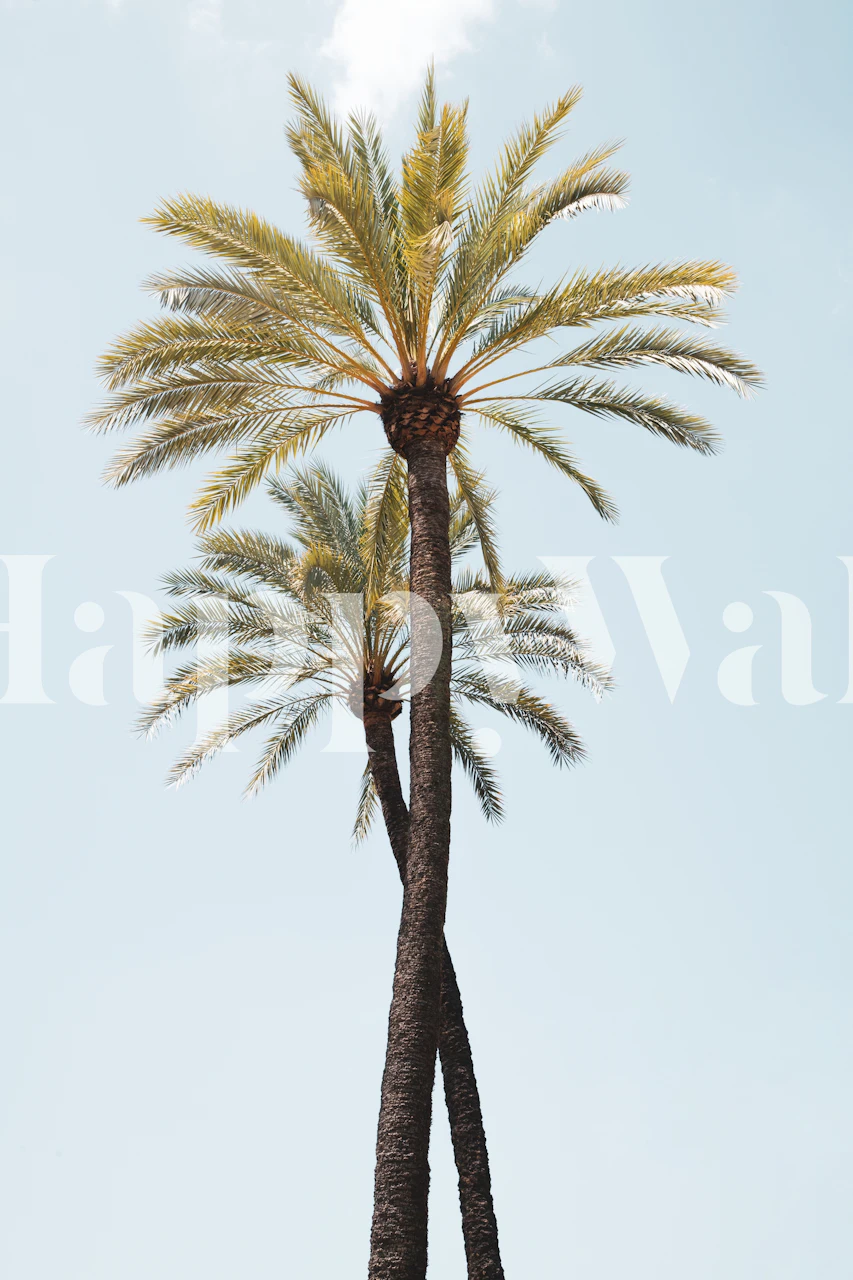 Palm Trees Beauty 6 tapet i et rum