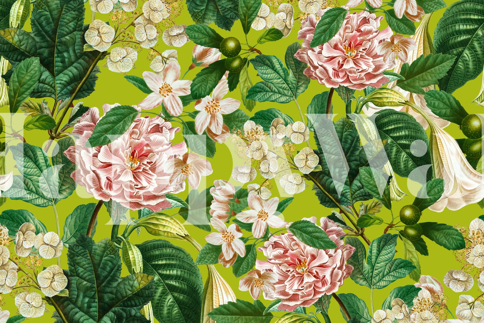 Floral pattern with pink roses and green leaves wallpaper
