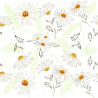 Spring time daisies pattern tapete