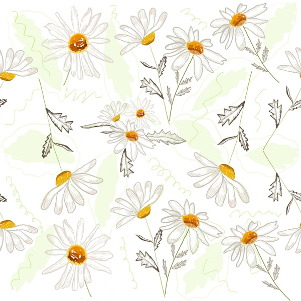 Sketchy Daisy Meadow