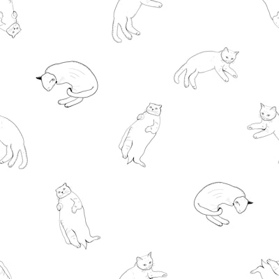 Pattern