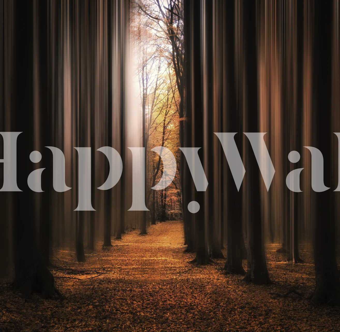 Incantevole murale murale con sentiero nel bosco con alberi imponenti e calde tonalità della terra