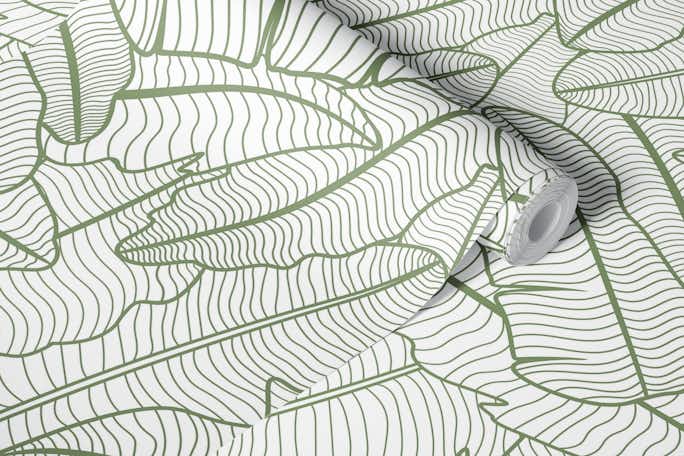 Sage Green Banana Leaves Line Artwallpaper roll