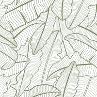 Sage Green Banana Leaves Line Art ταπετσαρία