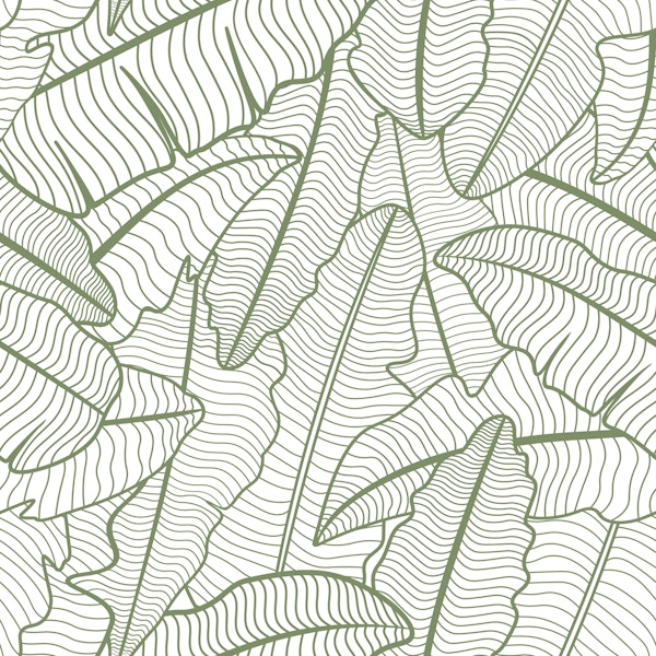 Sage Green Banana Leaves Line Art