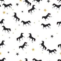 Black horse with stars behang