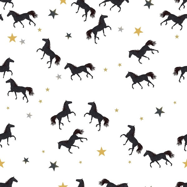 Black horse with stars