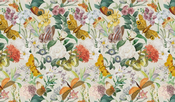 Moths and Butterflies III