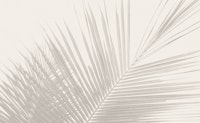 Soft tropical palm leaves - neutral beige papiers peint