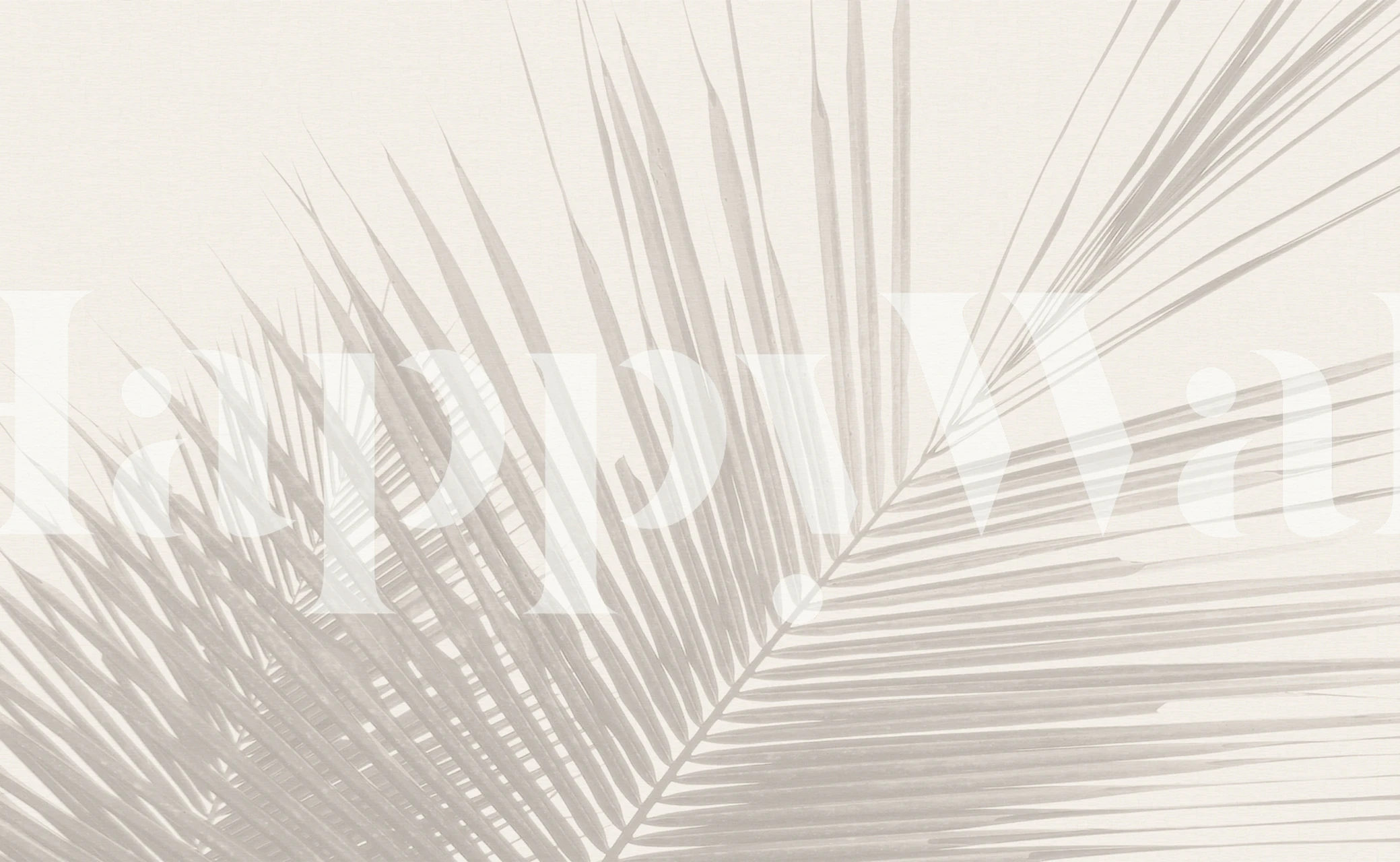 Monochrome tropical palm leaves tapet i et rom
