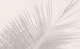 Soft tropical palm leaves  - Pastel Blush